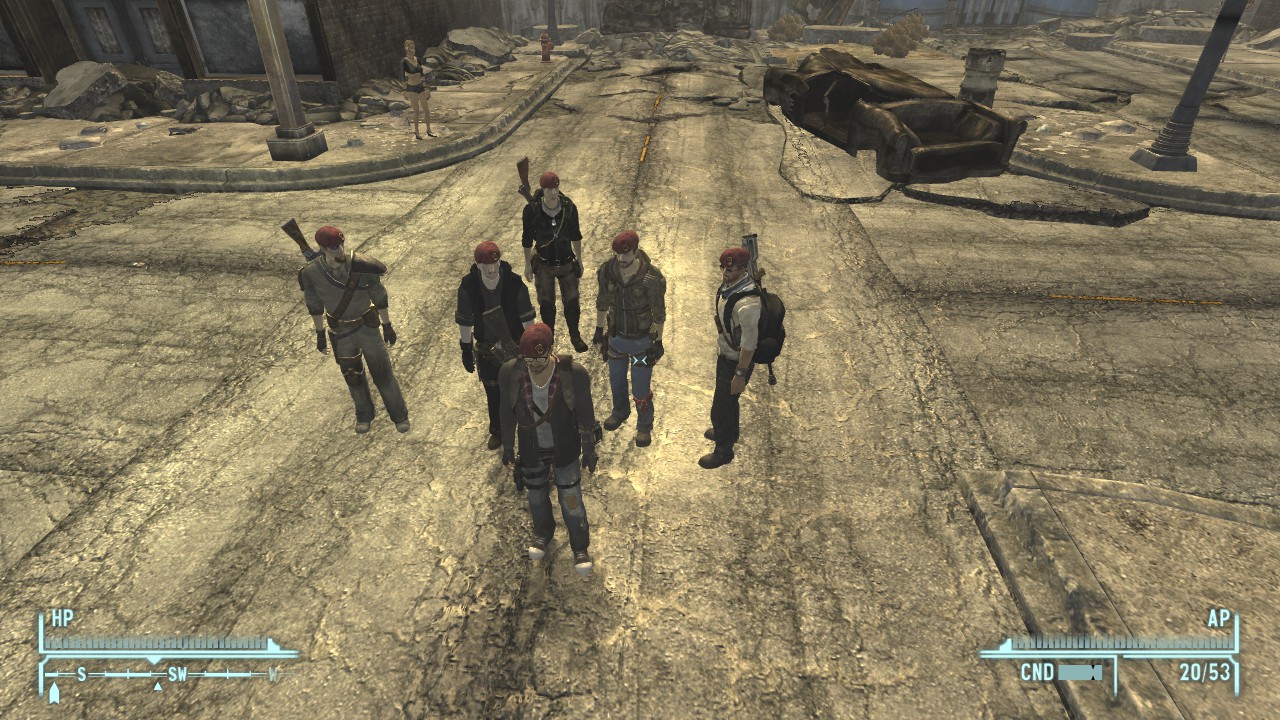 Fallout New Vegas - mods and community
