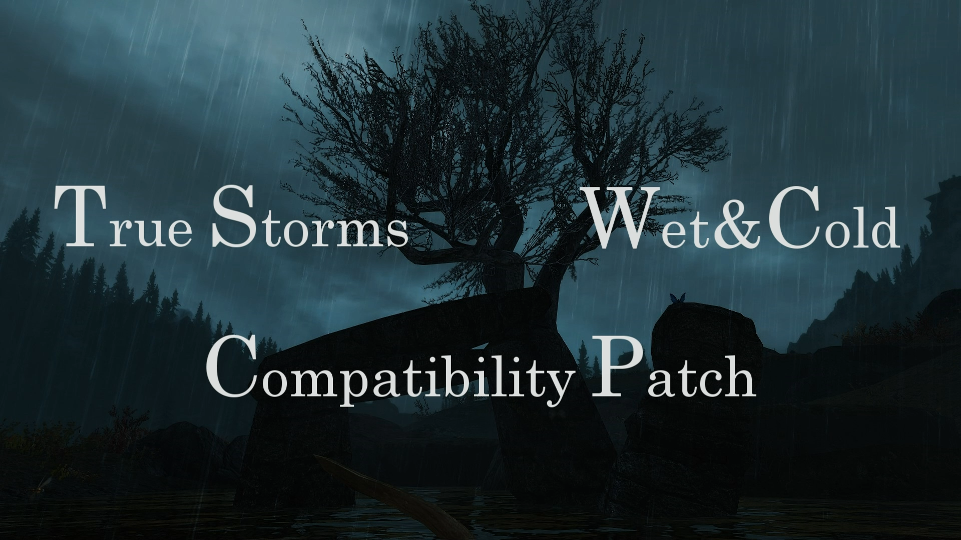 Forkert diameter lag TrueStorms - Wet and Cold Compatibility | Skyrim Special Edition Mods