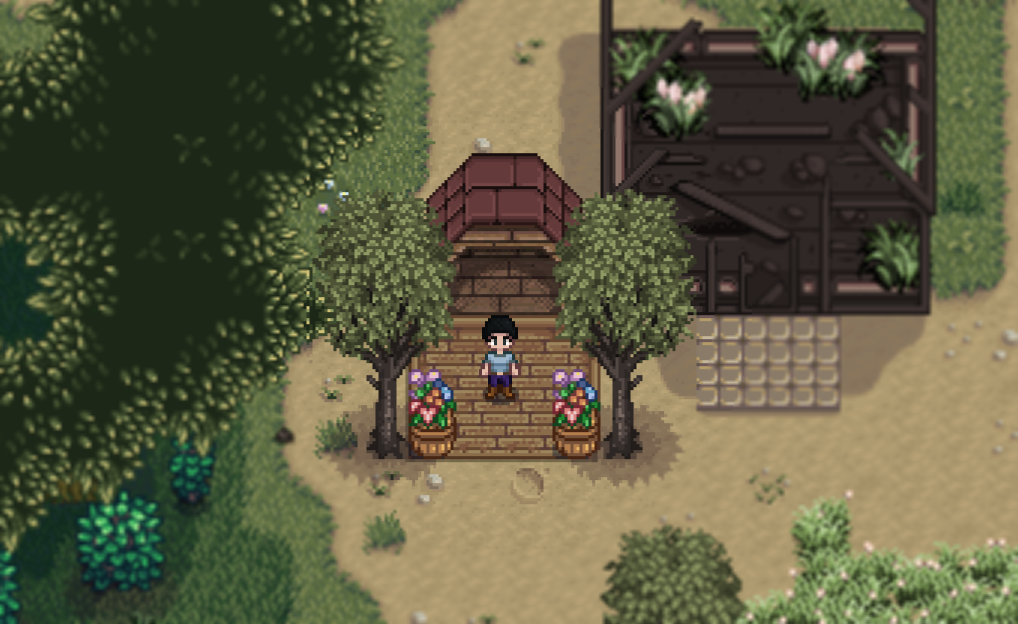 How Do I Get A Dog In Stardew Valley