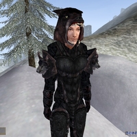 Morrowind Wolf Armor
