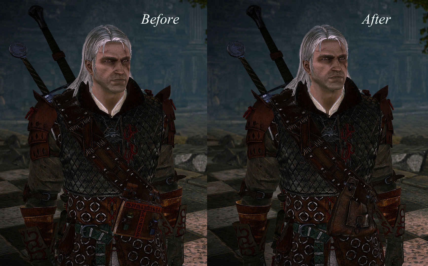 Bag Instead Of Book Witcher 2 Mods