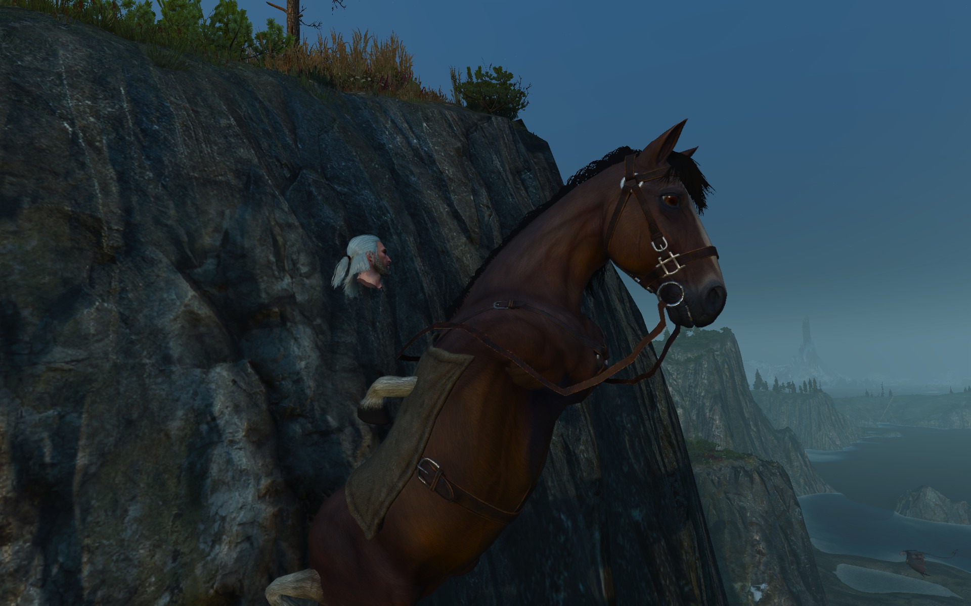 The witcher 3 horse mod фото 25